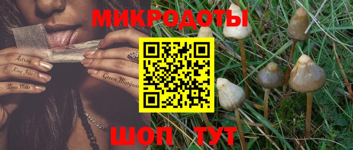 Псилоцибиновые грибы мицелий  где продают наркотики  Элиста  Вход с VPN 